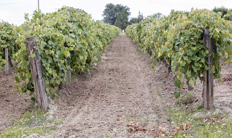 La Rioja está en el puesto 16 del ránking de exportaciones por habitante